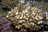  ( - MBIO3595.1)  @11 [ ] Unspecified (default): All Rights Reserved  Unspecified Unspecified