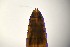  ( - TSZD-PD-300107)  @11 [ ] by-nc-sa (2023) Unspecified Tromsoe University Museum
