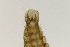  ( - TSZD-PD-300150)  @11 [ ] by-nc-sa (2023) Unspecified Tromsoe University Museum