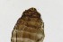  ( - TSZD-PD-300162)  @11 [ ] by-nc-sa (2023) Unspecified Tromsoe University Museum