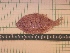  ( - MBP215)  @13 [ ] No Rights Reserved  Unspecified Unspecified