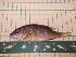  ( - MBP220)  @12 [ ] No Rights Reserved  Unspecified Unspecified