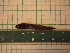  (Erotelis armiger - MBP194)  @12 [ ] No Rights Reserved  Unspecified Unspecified