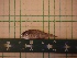  ( - MBP239)  @12 [ ] No Rights Reserved  Unspecified Unspecified