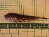  ( - MBP242)  @12 [ ] No Rights Reserved  Unspecified Unspecified