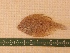  ( - MBP126)  @12 [ ] No Rights Reserved  Unspecified Unspecified