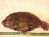  ( - MBP249)  @12 [ ] No Rights Reserved  Unspecified Unspecified