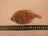  ( - MBP090)  @13 [ ] No Rights Reserved  Unspecified Unspecified