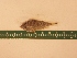 ( - MBP097)  @12 [ ] No Rights Reserved  Unspecified Unspecified