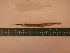  ( - MBP100)  @13 [ ] No Rights Reserved  Unspecified Unspecified