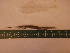  ( - MBP101)  @12 [ ] No Rights Reserved  Unspecified Unspecified