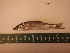  ( - MBP106)  @13 [ ] No Rights Reserved  Unspecified Unspecified