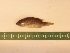  ( - MBP151)  @12 [ ] No Rights Reserved  Unspecified Unspecified