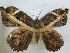  ( - MetaA8)  @14 [ ] No Rights Reserved  Unspecified Unspecified