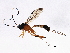  ( - BIOUG02168-A05)  @14 [ ] CreativeCommons - Attribution (2012) CBG Photography Group Centre for Biodiversity Genomics
