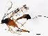  ( - BIOUG02168-G09)  @12 [ ] CreativeCommons - Attribution (2012) CBG Photography Group Centre for Biodiversity Genomics