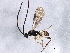  ( - BIOUG02168-H11)  @13 [ ] CreativeCommons - Attribution (2012) CBG Photography Group Centre for Biodiversity Genomics
