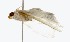  ( - BuFiPvAd-dr-C6)  @12 [ ] CreativeCommons - Attribution Non-Commercial Share-Alike (2018) Unspecified Unspecified