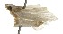  ( - BuFiPvAd-dr-C7)  @12 [ ] CreativeCommons - Attribution Non-Commercial Share-Alike (2018) Unspecified Unspecified
