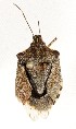  ( - BuUSHhAd-fr-A05)  @11 [ ] CreativeCommons - Attribution Non-Commercial Share-Alike (2018) Unspecified Unspecified