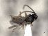  ( - CNC523533)  @11 [ ] by-nc-sa (2022) CNC CNC, Canadian National Collection of Insects, Arachnids and Nematodes