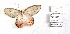  ( - CBMP0379)  @11 [ ] Unspecified (default): All Rights Reserved (2022) Copyright photoshop