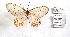  ( - CBMP0380)  @11 [ ] Unspecified (default): All Rights Reserved (2022) Copyright photoshop