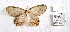  ( - CBMP0380)  @11 [ ] Unspecified (default): All Rights Reserved (2022) Copyright photoshop