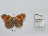  ( - CBMP0411)  @11 [ ] Unspecified (default): All Rights Reserved (2022) Copyright photoshop