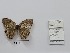  ( - CBMP0412)  @11 [ ] Unspecified (default): All Rights Reserved (2022) Copyright photoshop