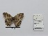  ( - CBMP0412)  @11 [ ] Unspecified (default): All Rights Reserved (2022) Copyright photoshop