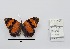  ( - CBMP0413)  @11 [ ] Unspecified (default): All Rights Reserved (2022) Copyright photoshop