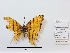  ( - CBMP0469)  @11 [ ] Unspecified (default): All Rights Reserved (2022) Copyright photoshop