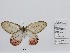  ( - CBMP0486)  @11 [ ] Unspecified (default): All Rights Reserved (2022) Copyright photoshop