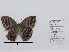  ( - CBMP0498)  @11 [ ] Unspecified (default): All Rights Reserved (2022) Copyright photoshop