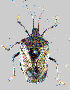  ( - HP-B73)  @11 [ ] Copyright (2025) Unspecified Modern College of Arts, Science and Commerce, Department of Zoology