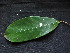  ( - CCDB-27885-D09)  @11 [ ] CreativeCommons - Attribution Non-Commercial Share-Alike (2017) Varun Swamy San Diego Zoo Global