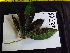  ( - BIORTP-061-C02)  @11 [ ] CreativeCommons - Attribution Non-Commercial Share-Alike (2019) Varun Swamy San Diego Zoo Global