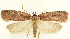  ( - MDH026333)  @11 [ ] CreativeCommons  Attribution (by) (2022) Daniel Handfield Unspecified