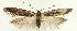  ( - MDH026460)  @11 [ ] CreativeCommons  Attribution (by) (2022) Daniel Handfield Unspecified