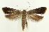  ( - MDH026939)  @11 [ ] CreativeCommons  Attribution (by) (2022) Daniel Handfield Unspecified