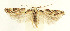 ( - MDH027129)  @11 [ ] CreativeCommons  Attribution (by) (2022) Daniel Handfield Unspecified