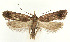  ( - MDH027252)  @11 [ ] CreativeCommons  Attribution (by) (2022) Daniel Handfield Unspecified
