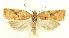  ( - MDH027417)  @11 [ ] CreativeCommons  Attribution (by) (2022) Daniel Handfield Unspecified