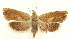  ( - MDH027978)  @13 [ ] CreativeCommons  Attribution (by) (2022) Daniel Handfield Unspecified