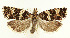  ( - MDH028062)  @11 [ ] CreativeCommons  Attribution (by) (2022) Daniel Handfield Unspecified