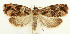  ( - MDH028079)  @11 [ ] CreativeCommons  Attribution (by) (2022) Daniel Handfield Unspecified