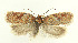  ( - MDH028186)  @11 [ ] CreativeCommons  Attribution (by) (2022) Daniel Handfield Unspecified