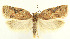  ( - MDH028514)  @11 [ ] CreativeCommons  Attribution (by) (2022) Daniel Handfield Unspecified