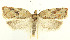  ( - MDH028644)  @11 [ ] CreativeCommons  Attribution (by) (2022) Daniel Handfield Unspecified